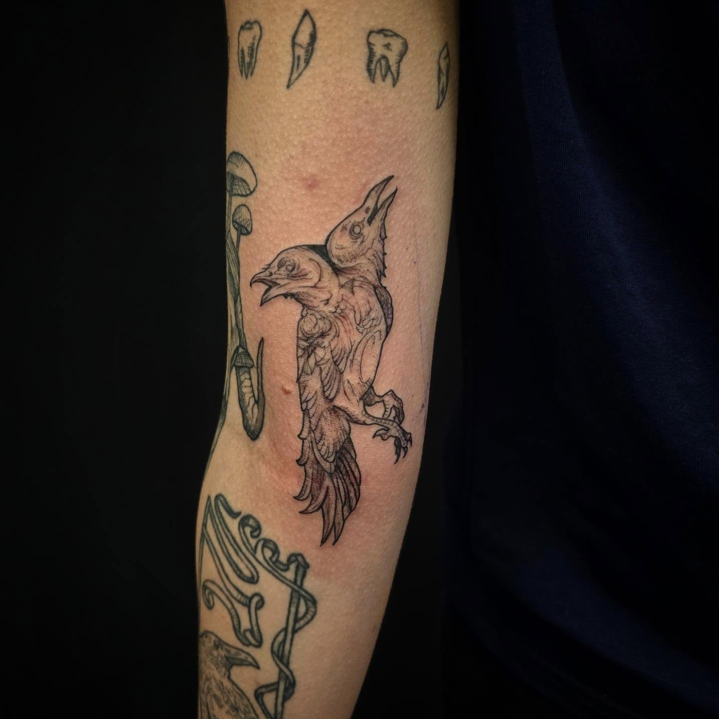 I love doing this etching tattoos! #etchingtattoos #redoctopustattoo #dmvtattooartist #marylandtattoos #marylandtattooartist